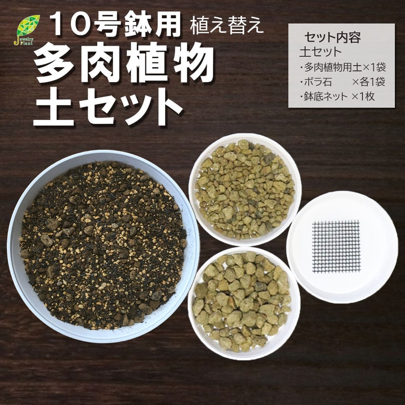 多肉植物用 10号鉢 植え替え土セット