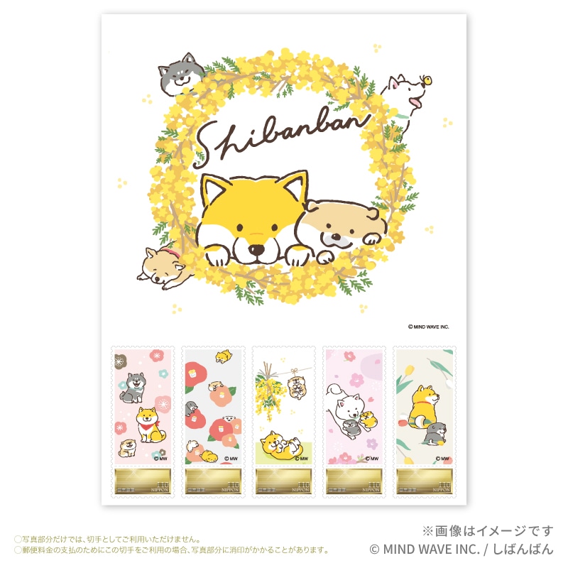 �w���΂�΂�x�I���W�i���t���[���؎�Z�b�g