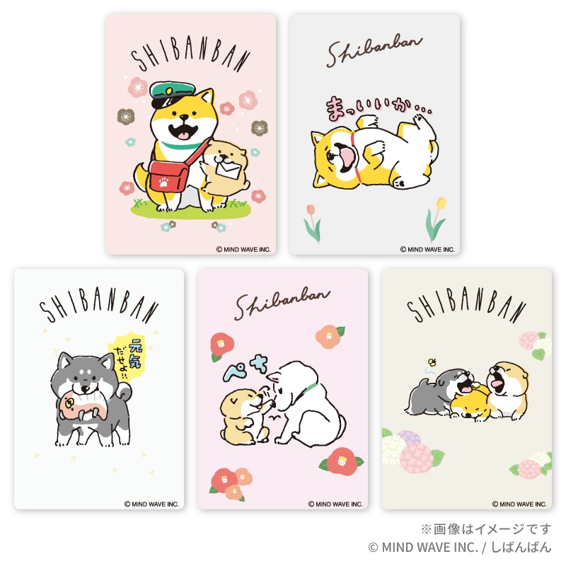 ��V�[�N���b�g��w���΂�΂�x �N���A�J�[�h