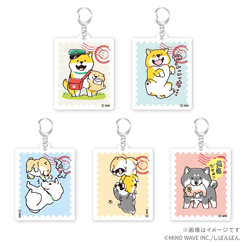 ��V�[�N���b�g��w���΂�΂�x �A�N�����L�[�z���_�[