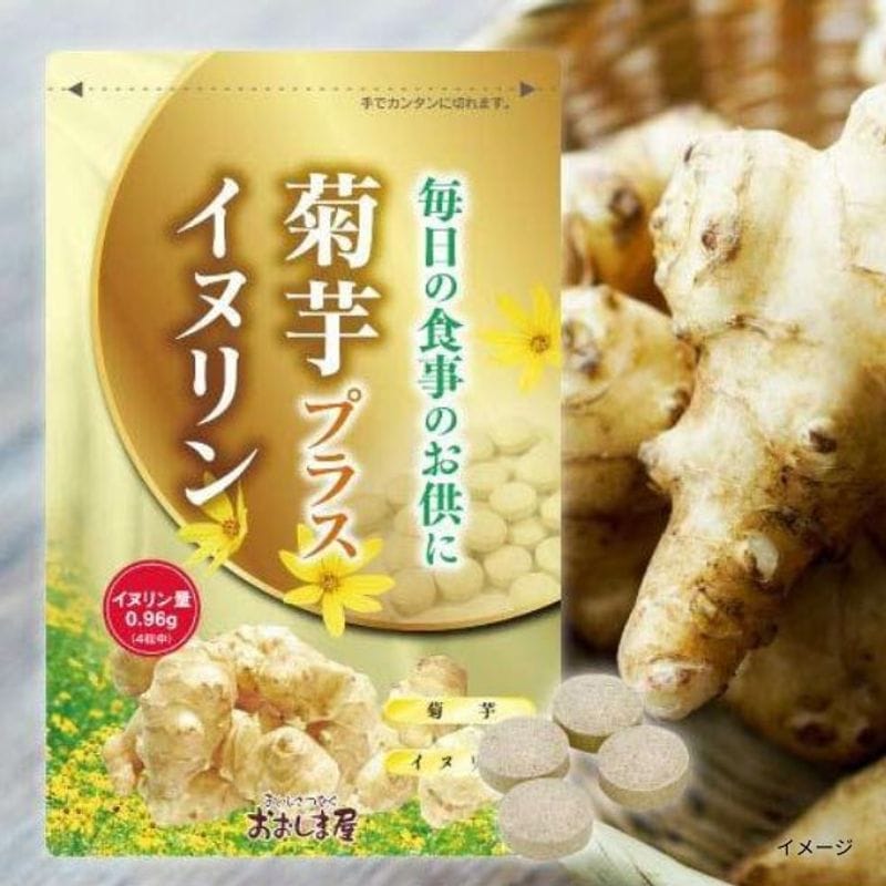 �u�e���v���X�C�k�����i��1�������j�v120����×10��