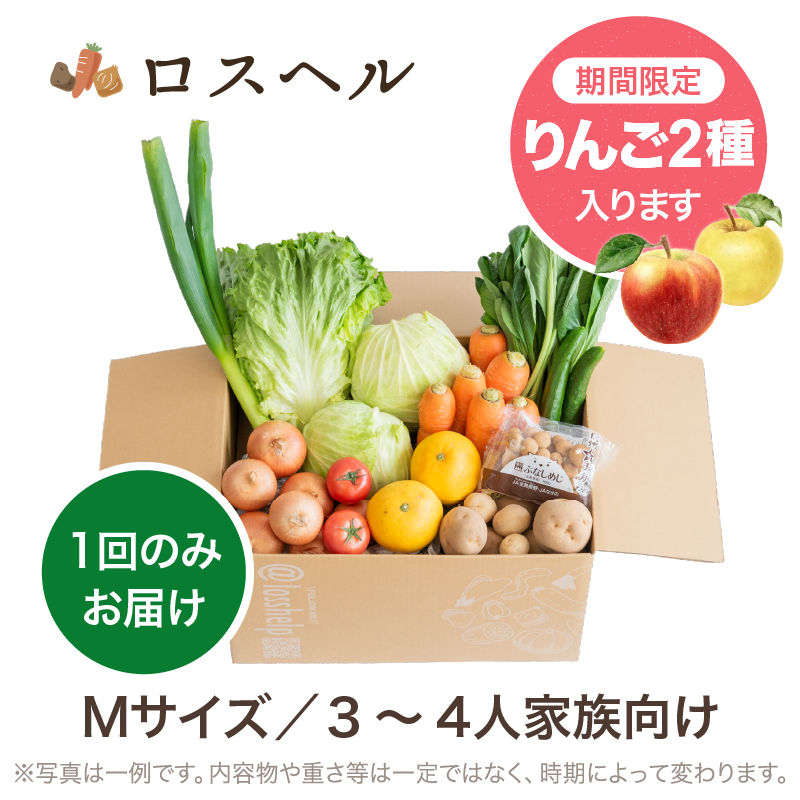 �킭�킭���X��؃p�b�NM�T�C�Y�y�P��z