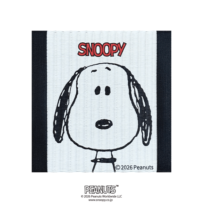 PEANUTS�~�j��}�b�g�E����L�b�g�@SNOOPY