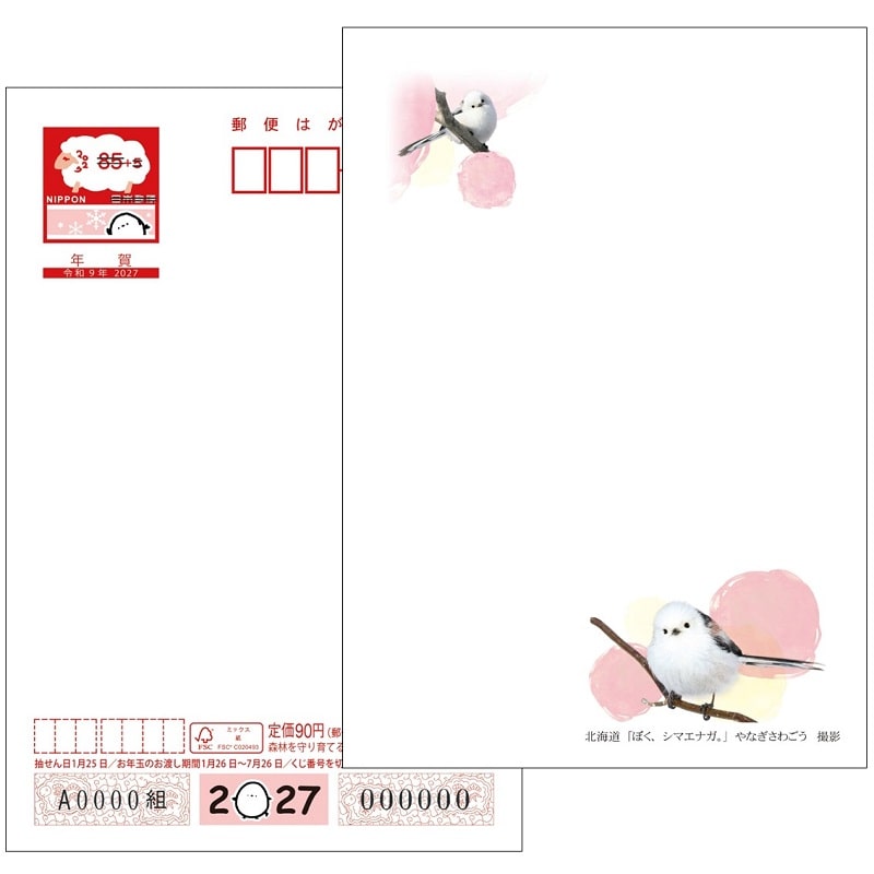2027�N�p�N��͂����@�G����m��t���t�n�k�C���Łi10���Z�b�g�j