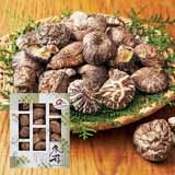 �啪�Y���؊��ő��ǂ񂱁y�����p�z