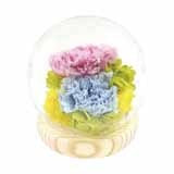 XtBAh[AWg@D@u[{sNypz