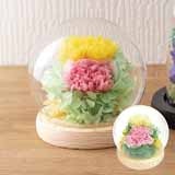 XtBAh[AWg@D@CG[{sNypz