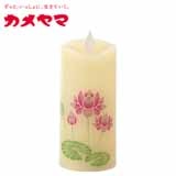 �J�����}�@�i���@����͂�����r�@�@�y�����p�z