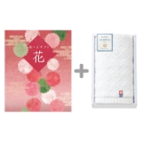 �I�ׂ�M�t�g�@�ԃR�[�X�{�E�H�b�V���^�I���y�c���p�z