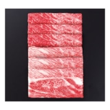 �đ򋍁@�����ėp�y�c���p�z