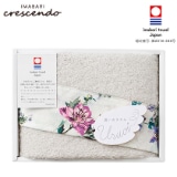 ���l�@�t�F�C�X�^�I���@�N���}�`�X�y�c���p�z