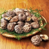 �啪�Y���؊��ő���������y�����p�z