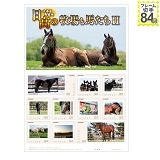北海道馬産地　日高の牧場と馬たちII