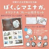 ڂAV}GiKBԓ啟