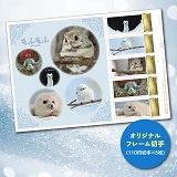 ӂ mofu-mofu