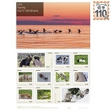 Life Family Izumi Yamakawa