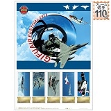 GIFU AIR FESTIVAL 2025