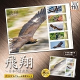 ���ā@�`���{�̖ҋחށ`