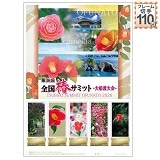 �S���փT�~�b�g��D�n���