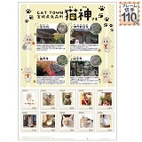 CAT�@TOWN�@�L�_����