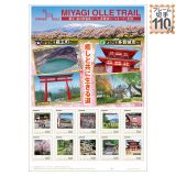 MIYAGI OLLE TRAIL �{��I���� �����E�����c����R�[�X�A�����R�[�X�I�[�v���L�O