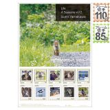 Life 4 Seasons vol.2 Izumi Yamakawa
