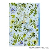 �ۂ����܂̂��ԃN���A�t�@�C��