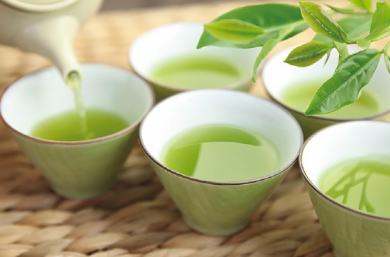 父の日新茶セット
