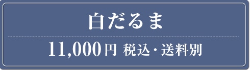 ������� 11,000�~